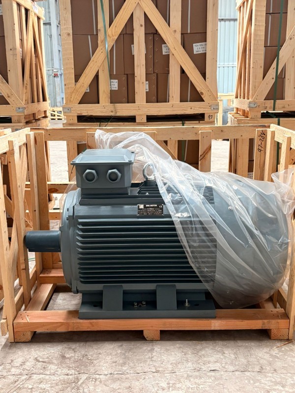 Kompresör Elektrik Motorları